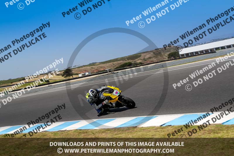 07th to 9th January 2019;Phillip Island;event digital images;motorbikes;no limits;peter wileman photography;trackday;trackday digital images