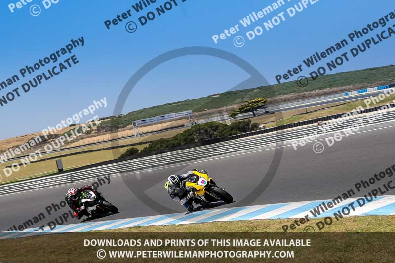 07th to 9th January 2019;Phillip Island;event digital images;motorbikes;no limits;peter wileman photography;trackday;trackday digital images