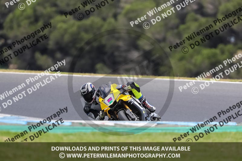 07th to 9th January 2019;Phillip Island;event digital images;motorbikes;no limits;peter wileman photography;trackday;trackday digital images