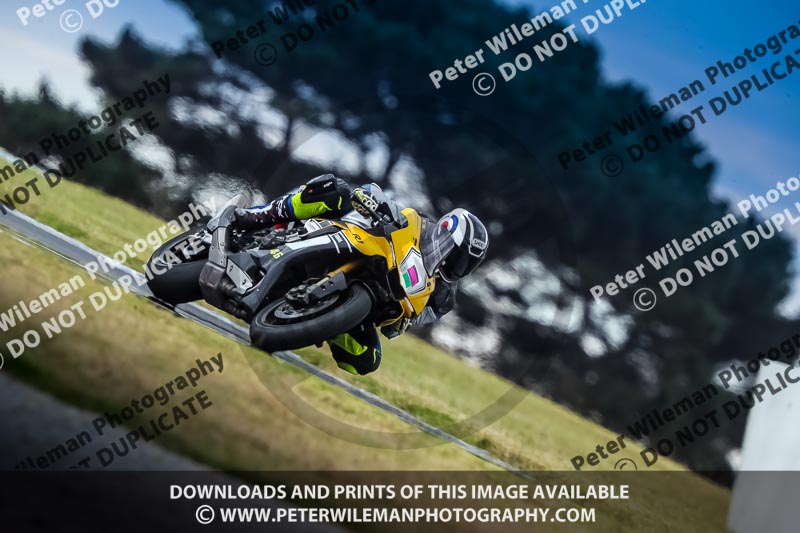 07th to 9th January 2019;Phillip Island;event digital images;motorbikes;no limits;peter wileman photography;trackday;trackday digital images