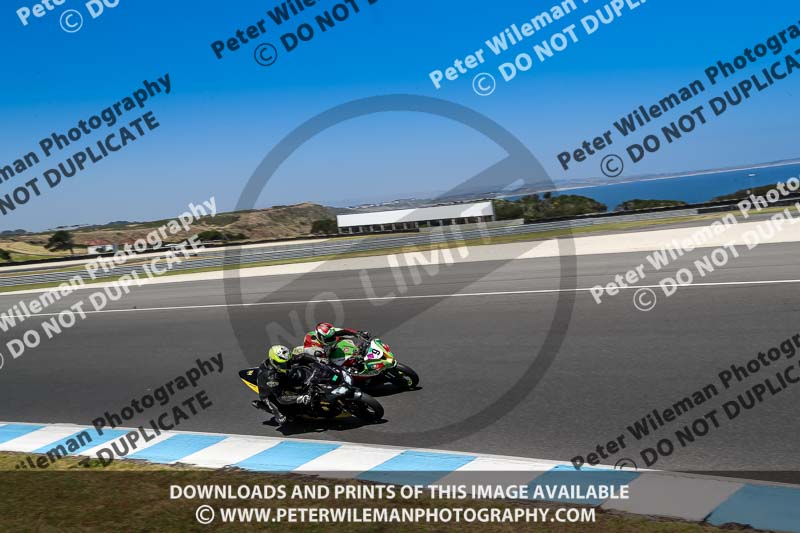 07th to 9th January 2019;Phillip Island;event digital images;motorbikes;no limits;peter wileman photography;trackday;trackday digital images