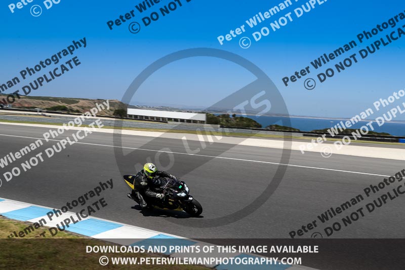 07th to 9th January 2019;Phillip Island;event digital images;motorbikes;no limits;peter wileman photography;trackday;trackday digital images