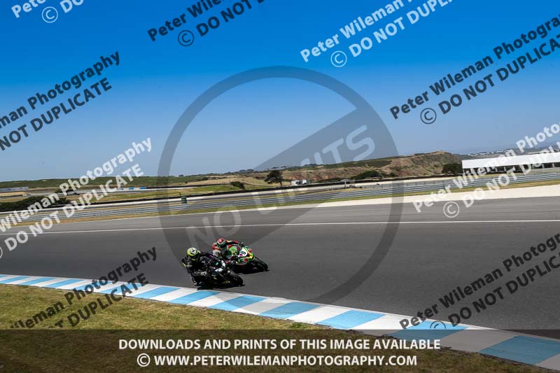 07th to 9th January 2019;Phillip Island;event digital images;motorbikes;no limits;peter wileman photography;trackday;trackday digital images