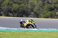 07th-to-9th-January-2019;Phillip-Island;event-digital-images;motorbikes;no-limits;peter-wileman-photography;trackday;trackday-digital-images