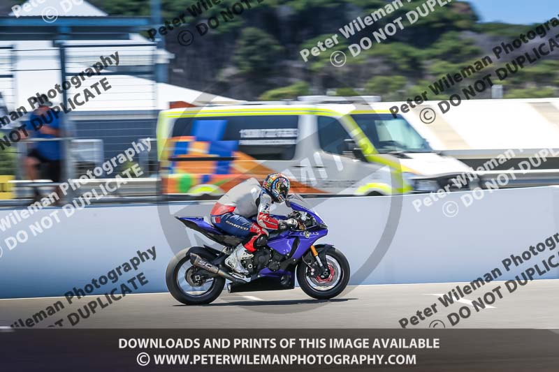 07th to 9th January 2019;Phillip Island;event digital images;motorbikes;no limits;peter wileman photography;trackday;trackday digital images