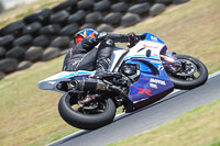 07th-to-9th-January-2019;Phillip-Island;event-digital-images;motorbikes;no-limits;peter-wileman-photography;trackday;trackday-digital-images