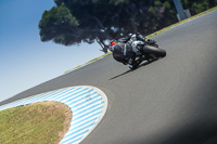07th-to-9th-January-2019;Phillip-Island;event-digital-images;motorbikes;no-limits;peter-wileman-photography;trackday;trackday-digital-images