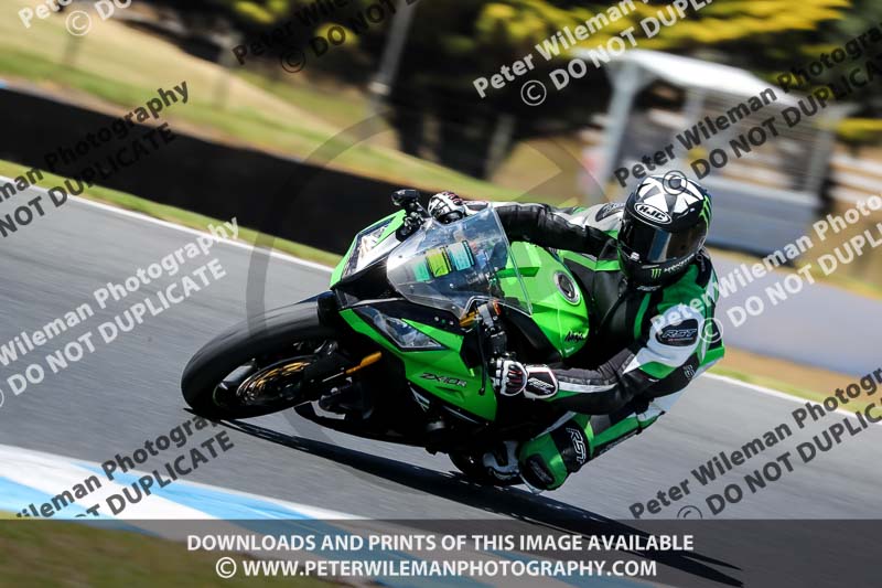 07th to 9th January 2019;Phillip Island;event digital images;motorbikes;no limits;peter wileman photography;trackday;trackday digital images