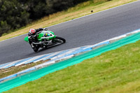07th-to-9th-January-2019;Phillip-Island;event-digital-images;motorbikes;no-limits;peter-wileman-photography;trackday;trackday-digital-images