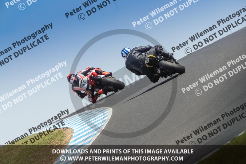 07th to 9th January 2019;Phillip Island;event digital images;motorbikes;no limits;peter wileman photography;trackday;trackday digital images