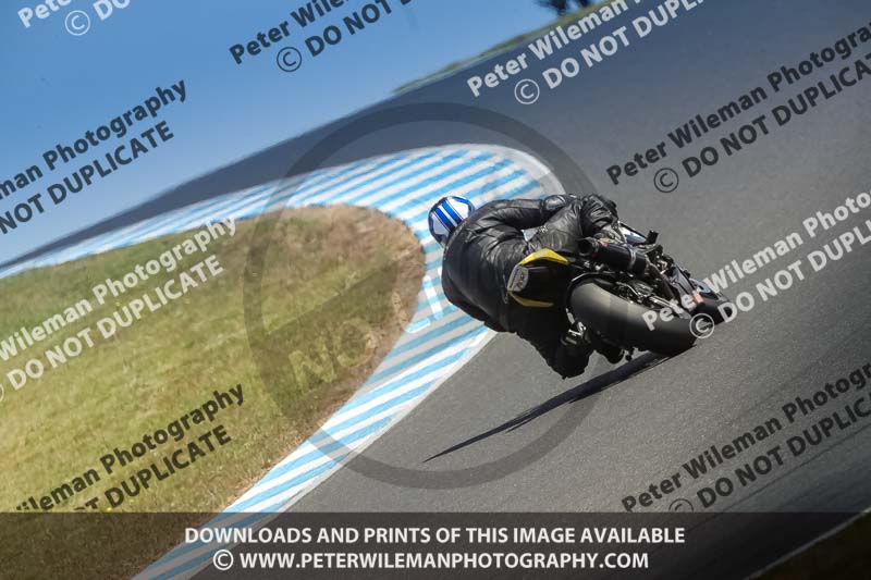 07th to 9th January 2019;Phillip Island;event digital images;motorbikes;no limits;peter wileman photography;trackday;trackday digital images