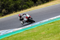 07th-to-9th-January-2019;Phillip-Island;event-digital-images;motorbikes;no-limits;peter-wileman-photography;trackday;trackday-digital-images