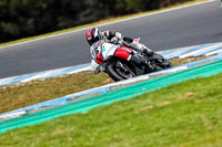 07th-to-9th-January-2019;Phillip-Island;event-digital-images;motorbikes;no-limits;peter-wileman-photography;trackday;trackday-digital-images