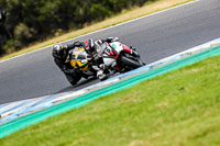 07th-to-9th-January-2019;Phillip-Island;event-digital-images;motorbikes;no-limits;peter-wileman-photography;trackday;trackday-digital-images