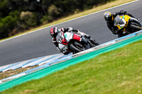 07th-to-9th-January-2019;Phillip-Island;event-digital-images;motorbikes;no-limits;peter-wileman-photography;trackday;trackday-digital-images