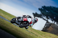 07th-to-9th-January-2019;Phillip-Island;event-digital-images;motorbikes;no-limits;peter-wileman-photography;trackday;trackday-digital-images