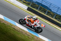 07th-to-9th-January-2019;Phillip-Island;event-digital-images;motorbikes;no-limits;peter-wileman-photography;trackday;trackday-digital-images