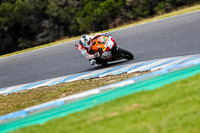 07th-to-9th-January-2019;Phillip-Island;event-digital-images;motorbikes;no-limits;peter-wileman-photography;trackday;trackday-digital-images