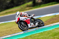 07th-to-9th-January-2019;Phillip-Island;event-digital-images;motorbikes;no-limits;peter-wileman-photography;trackday;trackday-digital-images
