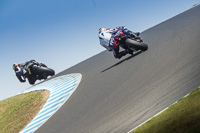 07th-to-9th-January-2019;Phillip-Island;event-digital-images;motorbikes;no-limits;peter-wileman-photography;trackday;trackday-digital-images