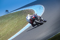 07th-to-9th-January-2019;Phillip-Island;event-digital-images;motorbikes;no-limits;peter-wileman-photography;trackday;trackday-digital-images