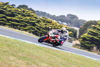 07th-to-9th-January-2019;Phillip-Island;event-digital-images;motorbikes;no-limits;peter-wileman-photography;trackday;trackday-digital-images
