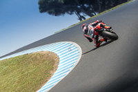 07th-to-9th-January-2019;Phillip-Island;event-digital-images;motorbikes;no-limits;peter-wileman-photography;trackday;trackday-digital-images