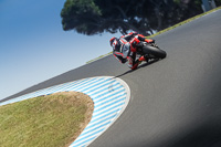 07th-to-9th-January-2019;Phillip-Island;event-digital-images;motorbikes;no-limits;peter-wileman-photography;trackday;trackday-digital-images