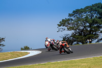 07th-to-9th-January-2019;Phillip-Island;event-digital-images;motorbikes;no-limits;peter-wileman-photography;trackday;trackday-digital-images