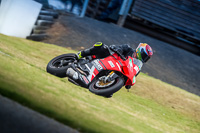 07th-to-9th-January-2019;Phillip-Island;event-digital-images;motorbikes;no-limits;peter-wileman-photography;trackday;trackday-digital-images