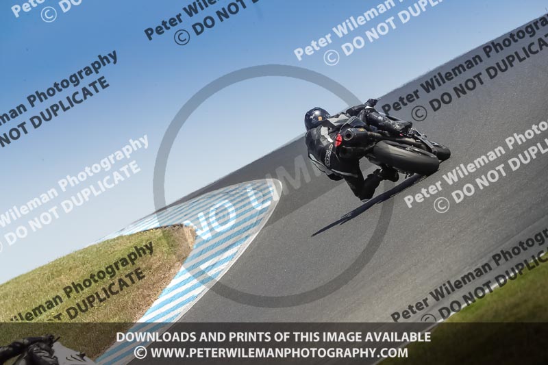 07th to 9th January 2019;Phillip Island;event digital images;motorbikes;no limits;peter wileman photography;trackday;trackday digital images