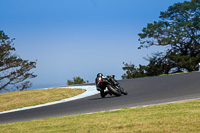 07th-to-9th-January-2019;Phillip-Island;event-digital-images;motorbikes;no-limits;peter-wileman-photography;trackday;trackday-digital-images
