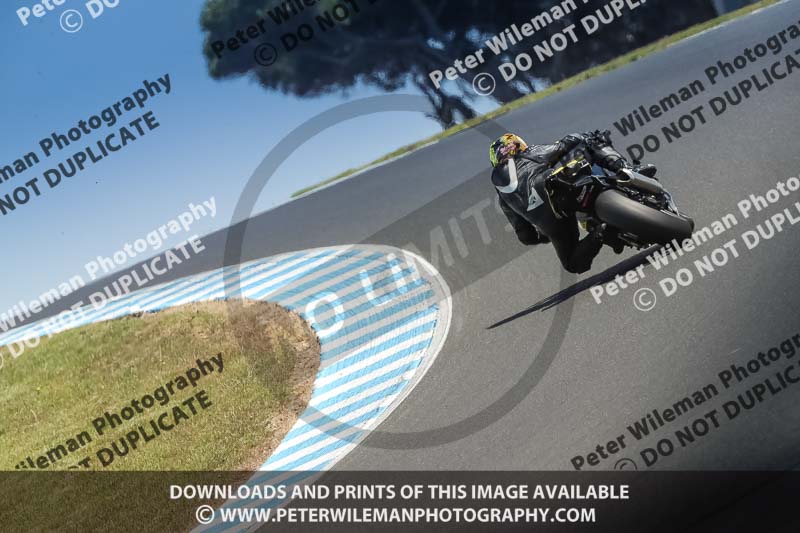 07th to 9th January 2019;Phillip Island;event digital images;motorbikes;no limits;peter wileman photography;trackday;trackday digital images