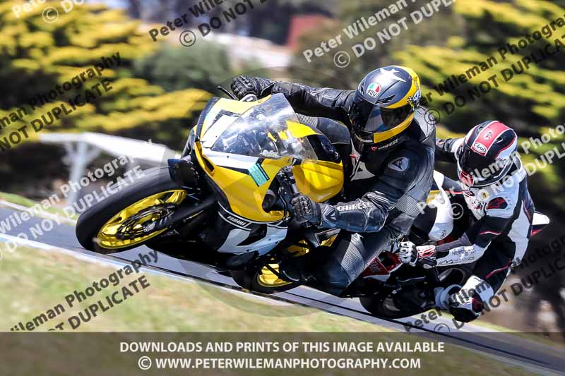 07th to 9th January 2019;Phillip Island;event digital images;motorbikes;no limits;peter wileman photography;trackday;trackday digital images