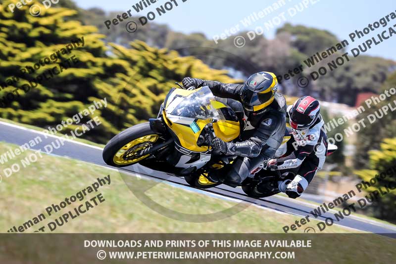 07th to 9th January 2019;Phillip Island;event digital images;motorbikes;no limits;peter wileman photography;trackday;trackday digital images