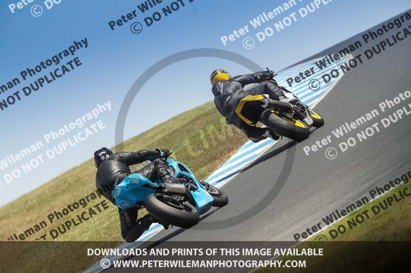 07th to 9th January 2019;Phillip Island;event digital images;motorbikes;no limits;peter wileman photography;trackday;trackday digital images