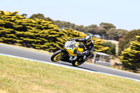 07th-to-9th-January-2019;Phillip-Island;event-digital-images;motorbikes;no-limits;peter-wileman-photography;trackday;trackday-digital-images