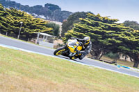 07th-to-9th-January-2019;Phillip-Island;event-digital-images;motorbikes;no-limits;peter-wileman-photography;trackday;trackday-digital-images