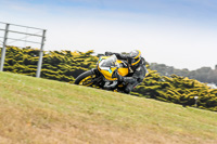 07th-to-9th-January-2019;Phillip-Island;event-digital-images;motorbikes;no-limits;peter-wileman-photography;trackday;trackday-digital-images