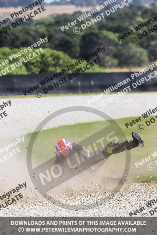 07th to 9th January 2019;Phillip Island;event digital images;motorbikes;no limits;peter wileman photography;trackday;trackday digital images