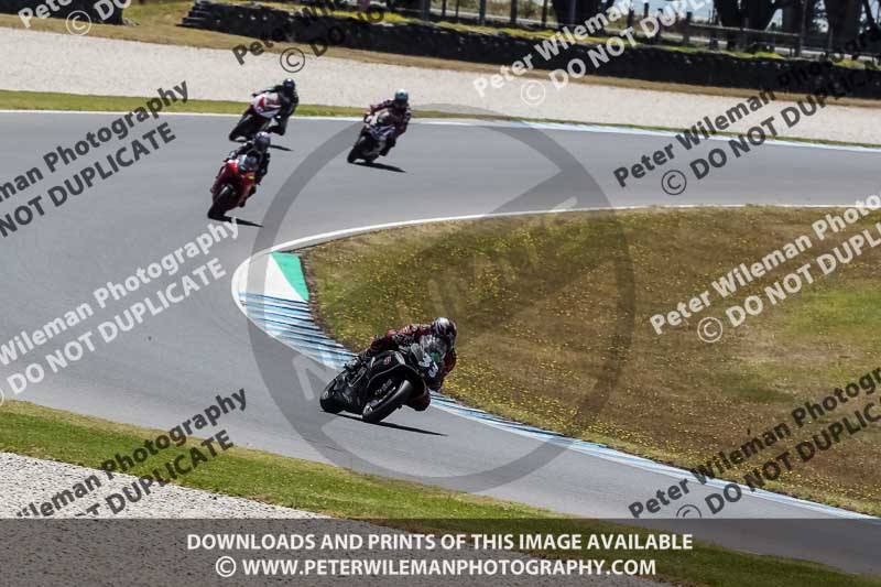 07th to 9th January 2019;Phillip Island;event digital images;motorbikes;no limits;peter wileman photography;trackday;trackday digital images