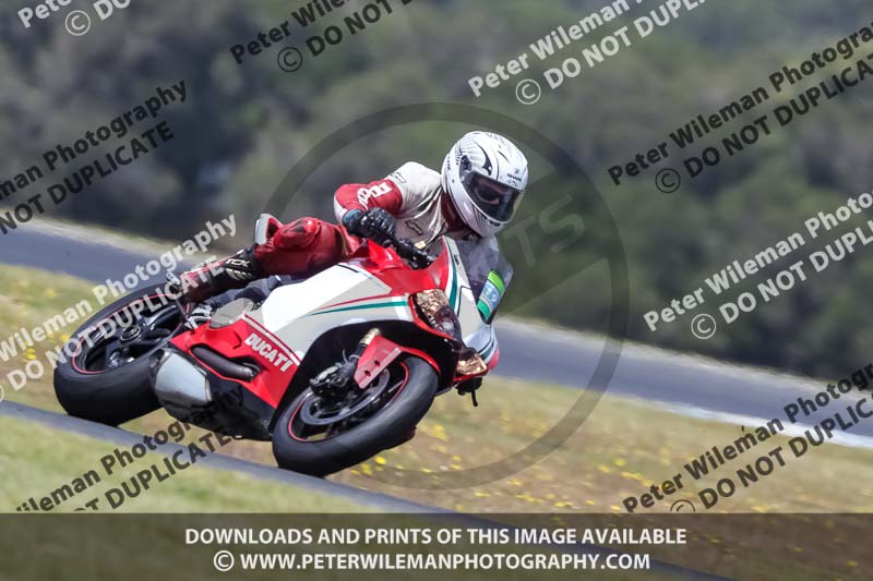 07th to 9th January 2019;Phillip Island;event digital images;motorbikes;no limits;peter wileman photography;trackday;trackday digital images