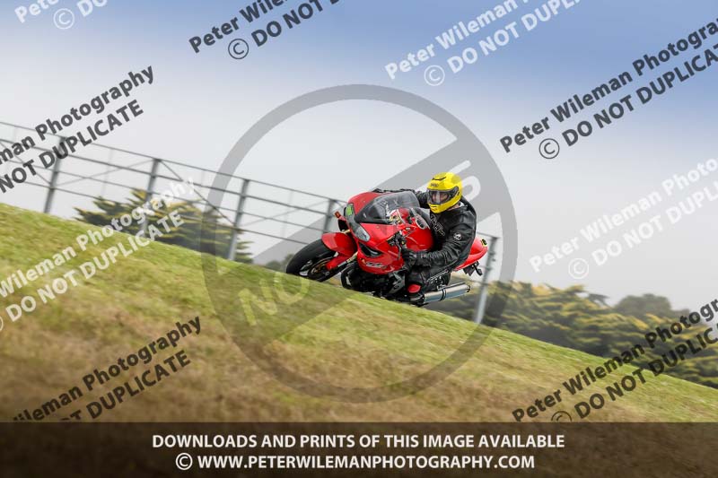 07th to 9th January 2019;Phillip Island;event digital images;motorbikes;no limits;peter wileman photography;trackday;trackday digital images