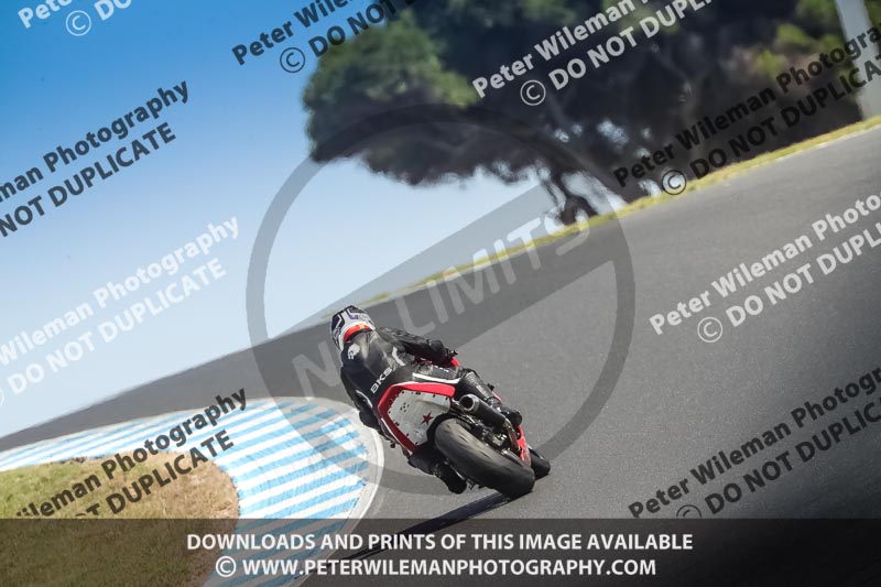 07th to 9th January 2019;Phillip Island;event digital images;motorbikes;no limits;peter wileman photography;trackday;trackday digital images