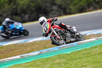 07th-to-9th-January-2019;Phillip-Island;event-digital-images;motorbikes;no-limits;peter-wileman-photography;trackday;trackday-digital-images