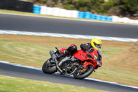 07th-to-9th-January-2019;Phillip-Island;event-digital-images;motorbikes;no-limits;peter-wileman-photography;trackday;trackday-digital-images