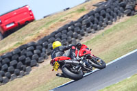 07th-to-9th-January-2019;Phillip-Island;event-digital-images;motorbikes;no-limits;peter-wileman-photography;trackday;trackday-digital-images