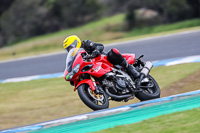 07th-to-9th-January-2019;Phillip-Island;event-digital-images;motorbikes;no-limits;peter-wileman-photography;trackday;trackday-digital-images