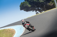 07th-to-9th-January-2019;Phillip-Island;event-digital-images;motorbikes;no-limits;peter-wileman-photography;trackday;trackday-digital-images