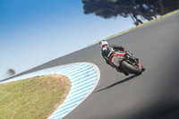 07th-to-9th-January-2019;Phillip-Island;event-digital-images;motorbikes;no-limits;peter-wileman-photography;trackday;trackday-digital-images